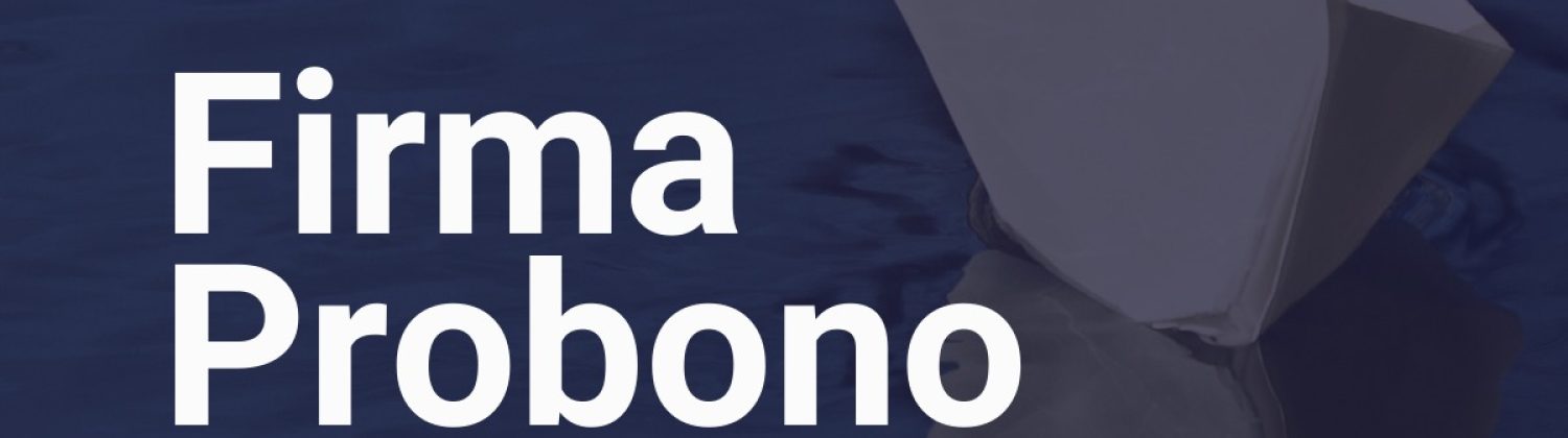 Firma Probono del Año 2025